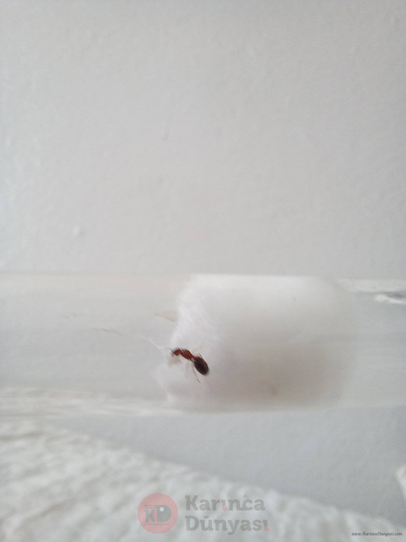 20241020_125959.jpg