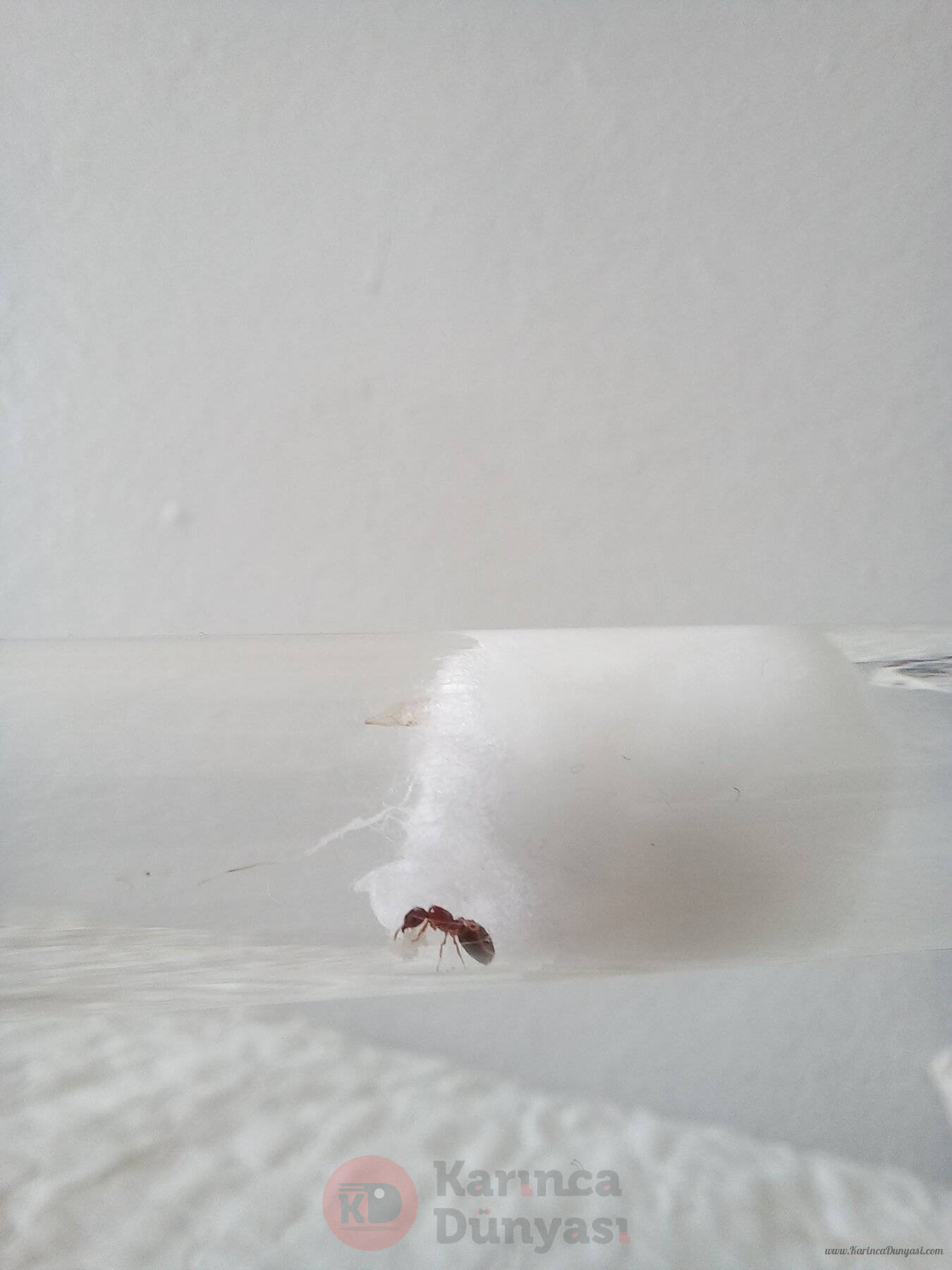 20241020_130001.jpg