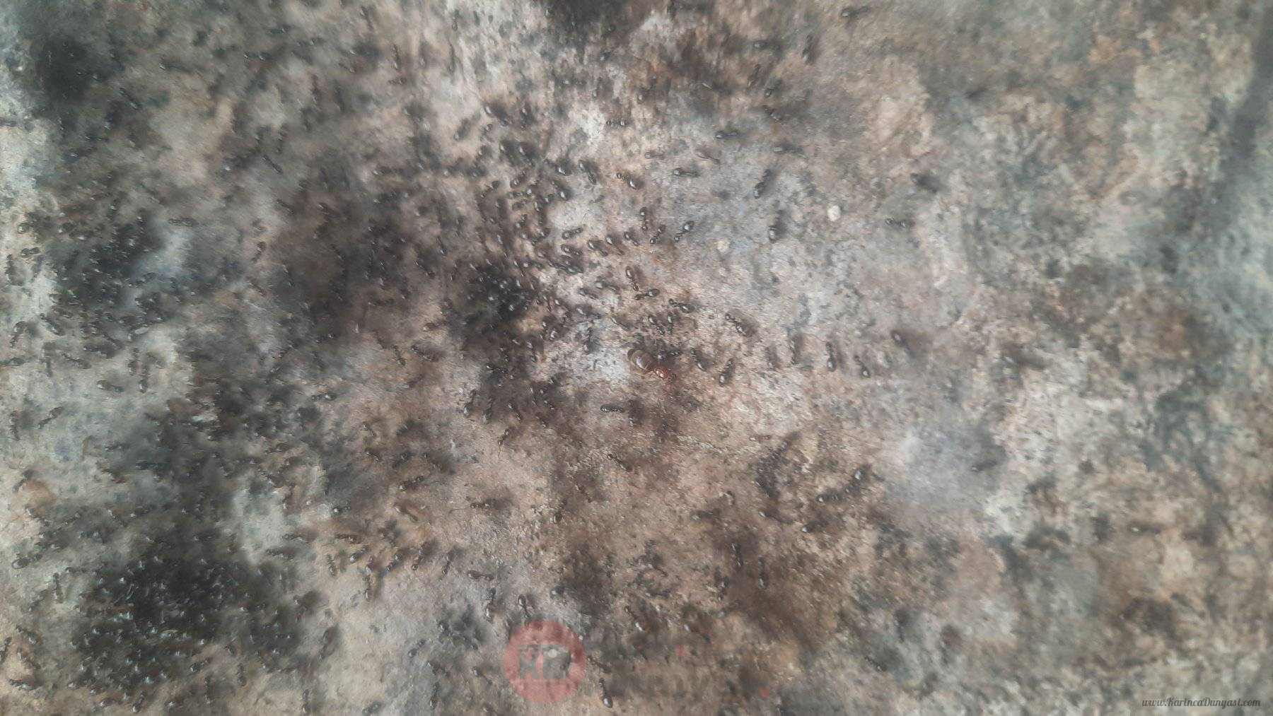 20250316_180346.jpg