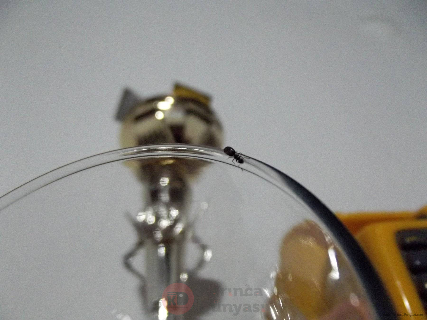 DSCF3263.JPG