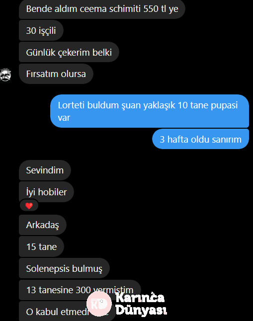 Ekran_goruntusu_2024-08-29_153038.png