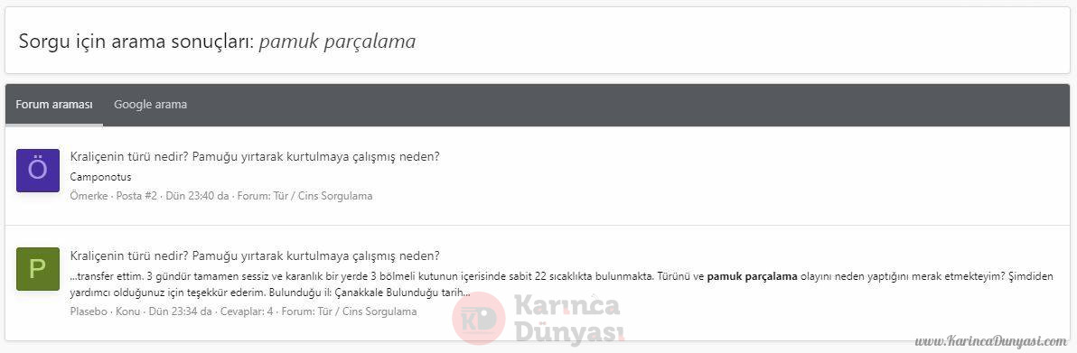 es2.JPG