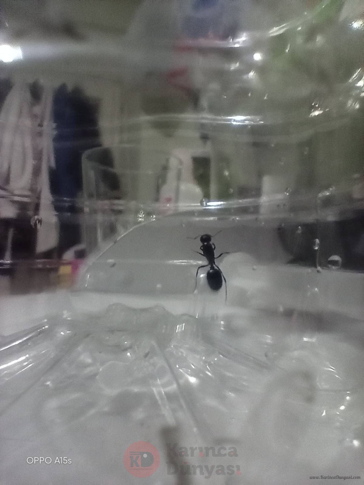 IMG20220226194545.jpg