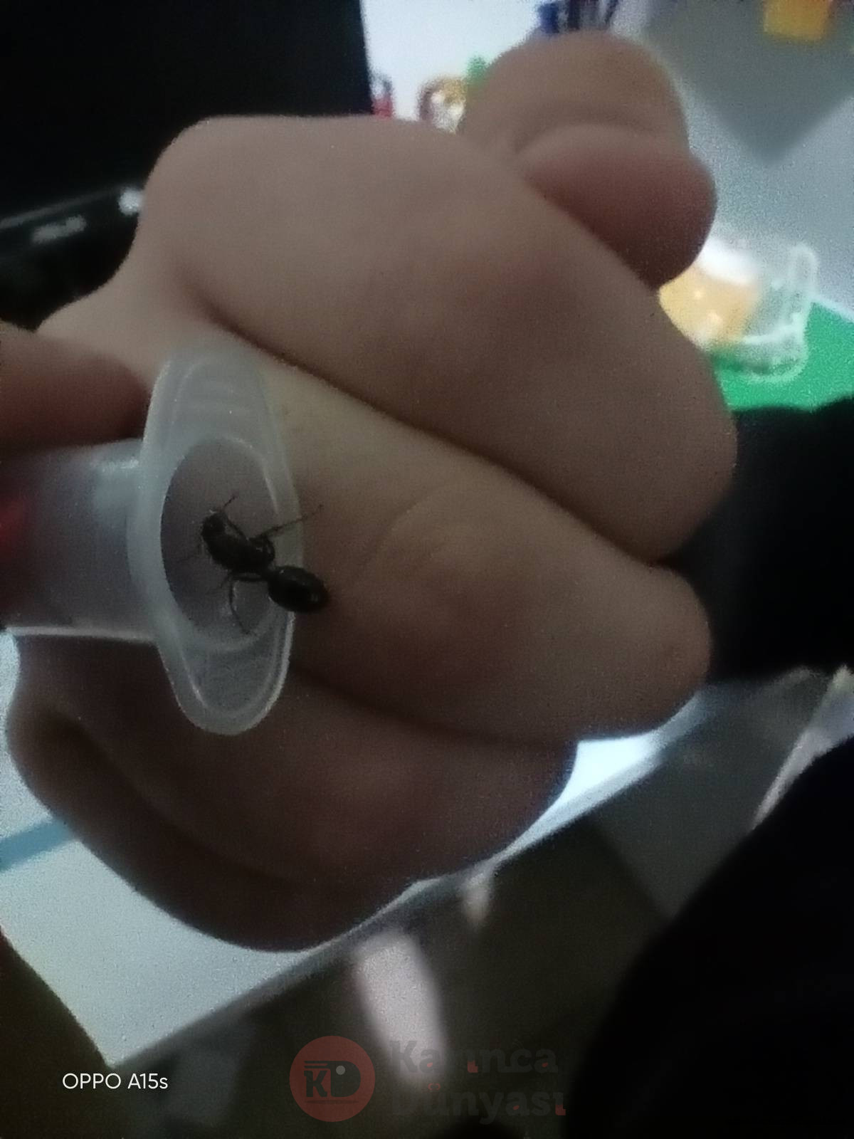 IMG20220226194832.jpg