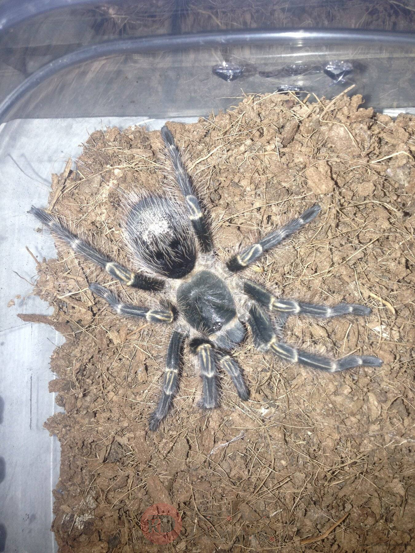 IMG_0332.JPG