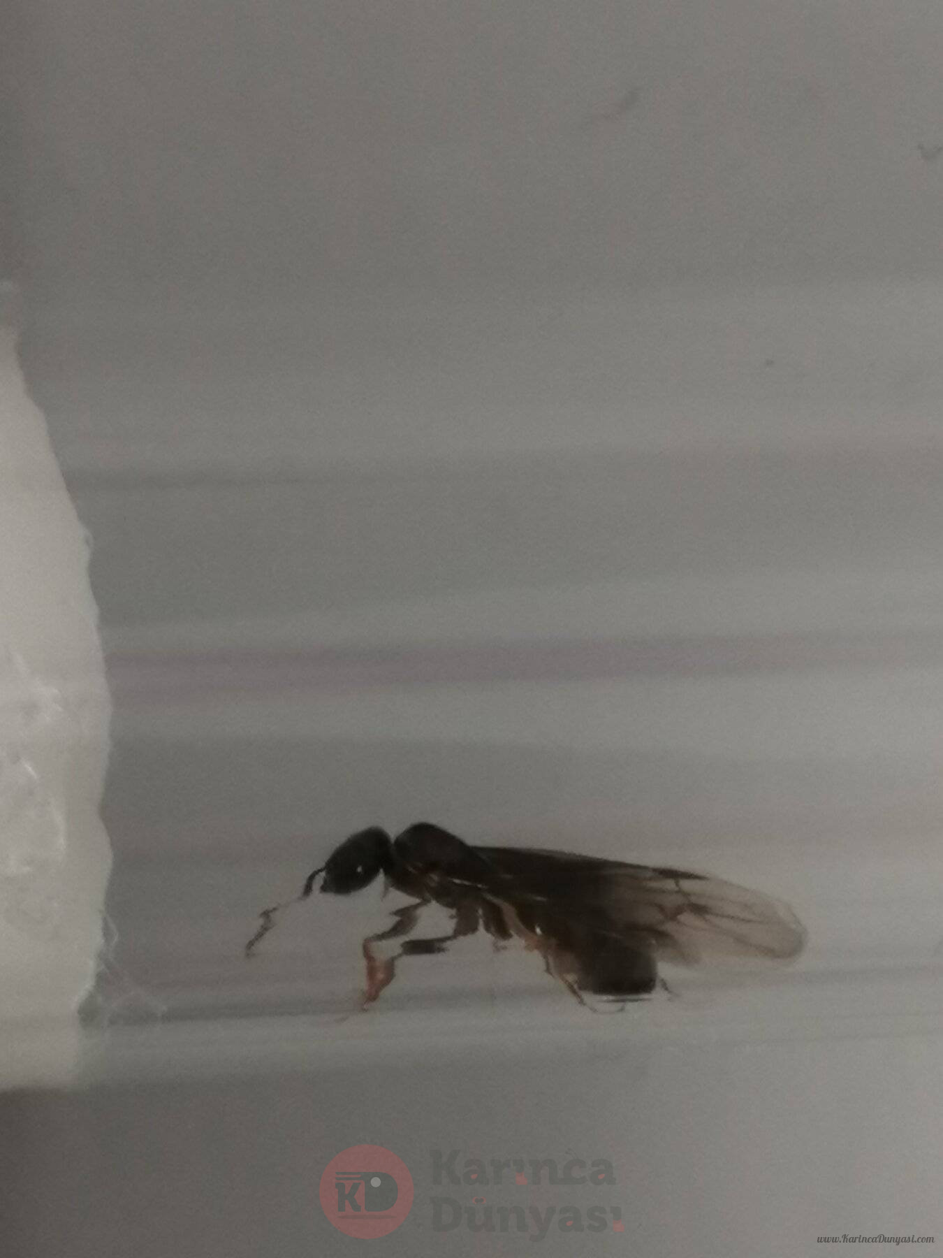 IMG_20240802_130248.jpg