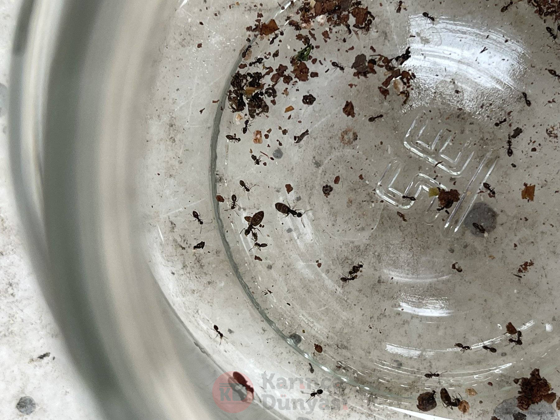 IMG_7871.jpeg