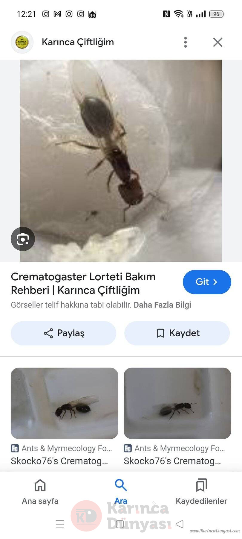 Screenshot_2024-08-02-12-21-29-56_680d03679600f7af0b4c700c6b270fe7.jpg