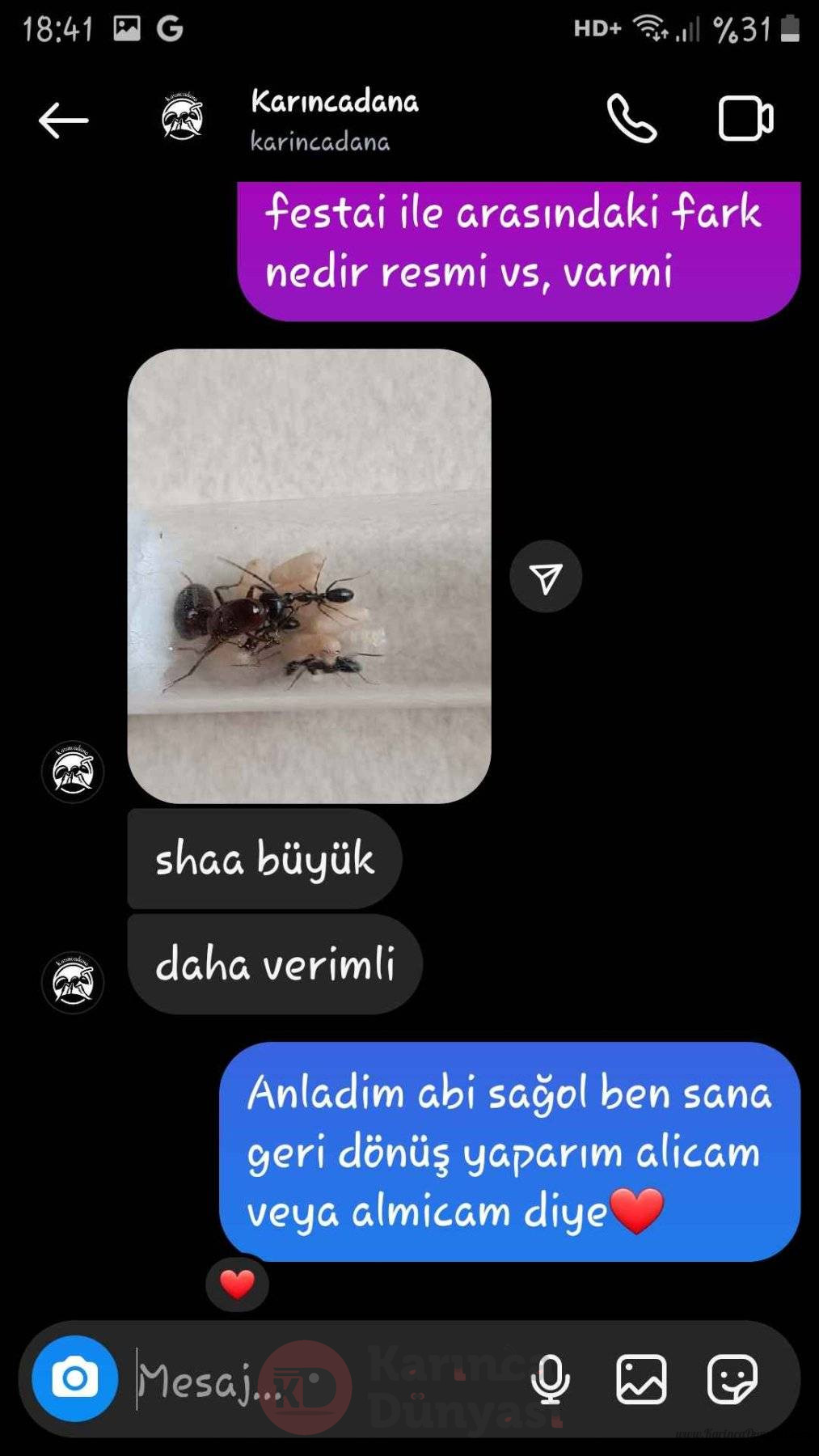 Screenshot_20240828-184102_Instagram.jpg