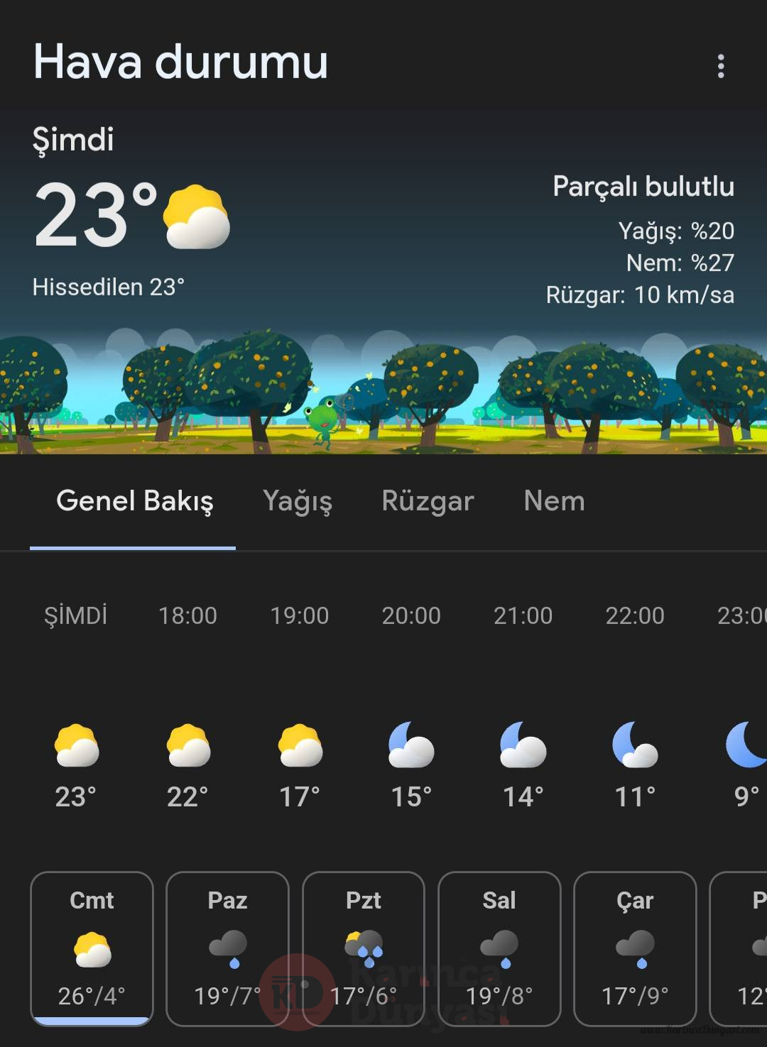 Screenshot_20250329_174023_Google.jpg