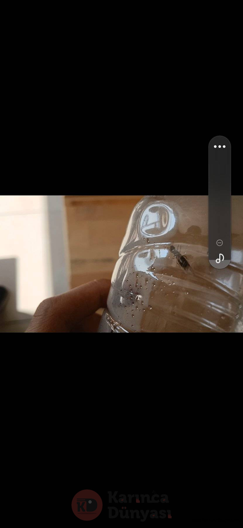 Screenshot_20250604_160222_Video Player.jpg