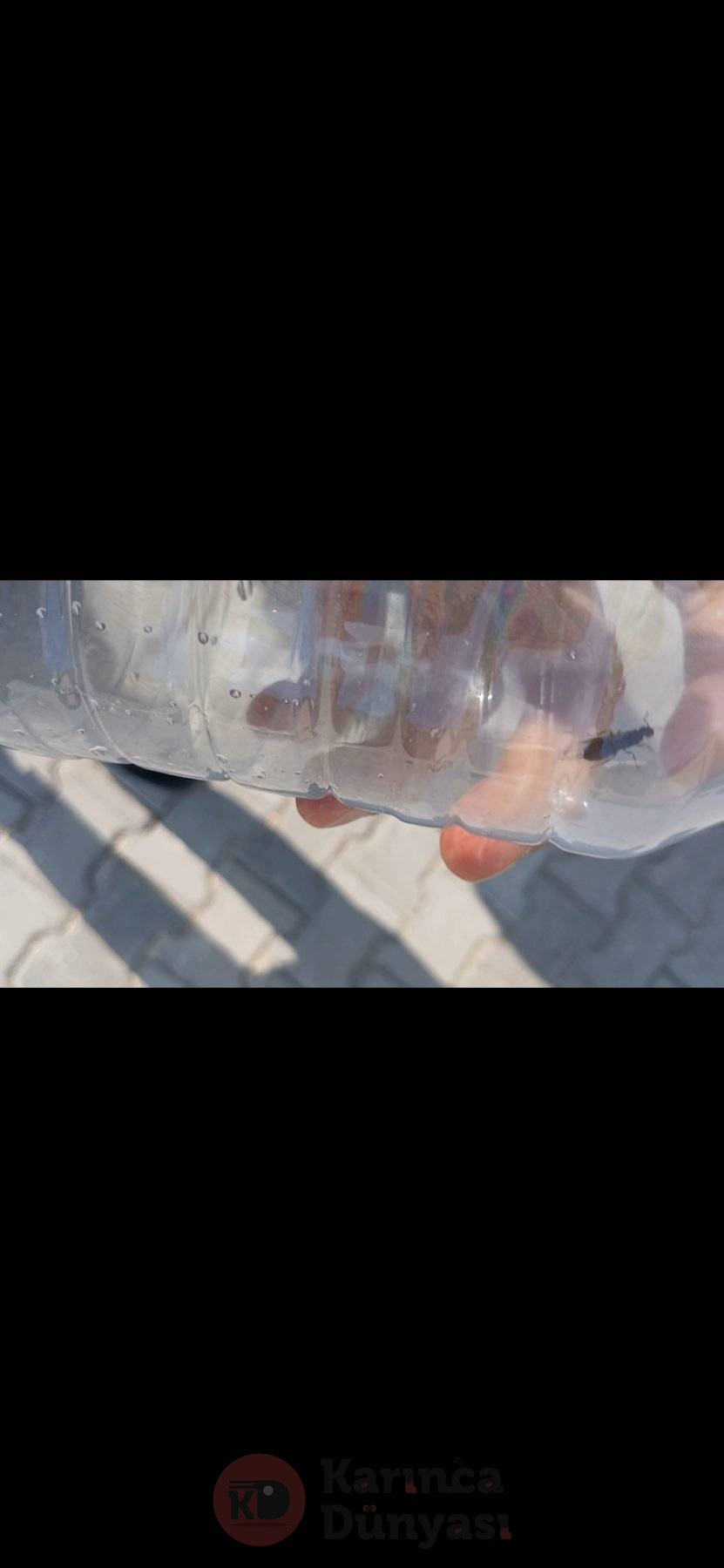 Screenshot_20250604_161554_Video Player.jpg