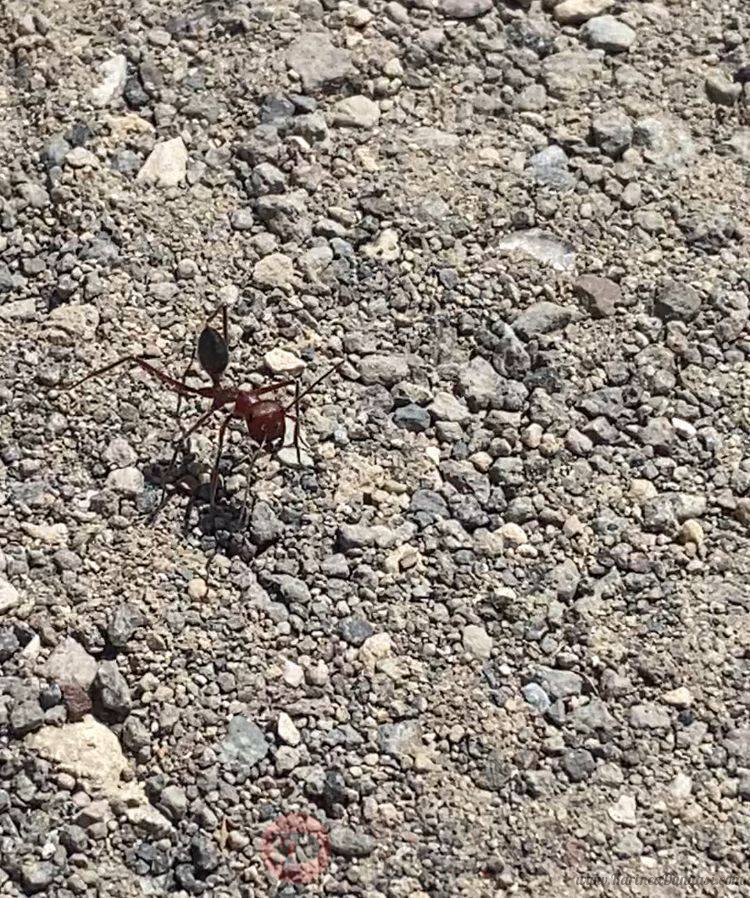 WhatsApp Image 2022-04-28 at 21.06.14 (1).jpeg